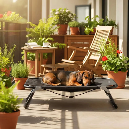 Lit-pliant-chien-chiot-pour race de petite taille et races naines de 0 à 10 kilos, tissu oxford doux, imperméable, lavable et résistante qui épouse le corps du chien ou du chiot comme un hamac avec structure rectangulaire en acier avec deux barres transversales mobile pour un pliage facile et rapide pour une utilisation en intérieur ou extérieur-un teckel miniature qui dort paisiblement sur son lit surélevé de couleur noir sur la terrasse de l'appartement en été