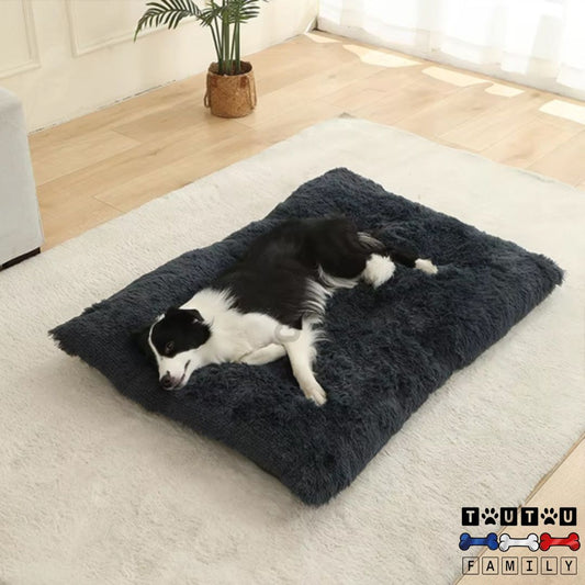 Lit-pour-chien-coton-moelleux-un-chien-moyen-allongé-sur-son-flanc-qui-dort-paisiblement-sur-son-lit-de-couleur-gris-foncé-dans-son-salon
