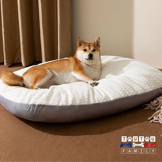 Lit-pour-chien-moelleux-douillet-respirant-un-chien-de-taille-moyenne-couché-avec-beaucoup-d-espace-sur-son-grand-matelas-épais-sur-le-sol-coussin-pour-panier