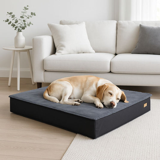 Lit-pour-chien-orthopédique-imperméable-lavable-un labrador sable qui dort paisiblement la tête reposant sur son lit avec son matelas à mémoire de forme pour un soutien adapté à sa morphologie dans le salon crème de la maison-lit déhoussable et lavable en machine