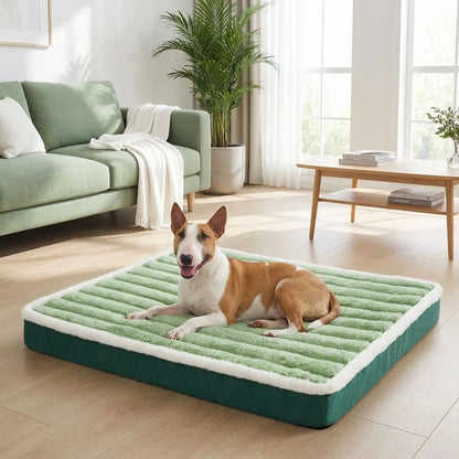 Lit-pour-chien-orthopedique-matelas rectangulaire, antidérapant, imperméable, housse en velours douce en peluche déhoussable et lavable en machine à laver, polyvalent sur le sol, dans la cage de tranport, un panier-disponible en 3 tailles S, M et L pour les chiots et les chiens de petites à moyenne taille de 0 à 15 kilos max-un chien de race miniature couché confortablement sur le matelas ultra doux à mémoire de forme de couleur vert anis sur le sol du salon de l'appartement