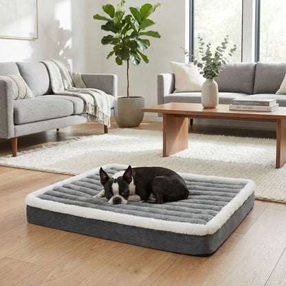 Lit-pour-chien-orthopedique-matelas rectangulaire, antidérapant, imperméable, housse en velours douce en peluche déhoussable et lavable en machine à laver, polyvalent sur le sol, dans la cage de tranport, un panier-disponible en 3 tailles S, M et L pour les chiots et les chiens de petites à moyenne taille de 0 à 15 kilos max-un chien de taille moyenne qui dort paisiblement sur le lit orthopédique rectangulaire de couleur gris dans le salon de l'appartement