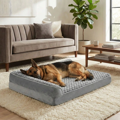 Lit-pour-chien-orthopédique-xl-antidérapant-imperméable-déhoussable-lavable en machine-résistant aux griffes et morsures légères pour grand chien et chiot jusqu'à 40 kg max-en velours côtelé et 100% Coton PP et deux traversin cylindriques rembourré en forme de L de couleur gris-un Berger Allemand qui dort paisiblement sur son lit orthopédique, la tête reposant dans le coin du L des deux traversins dans le salon de l'appartement