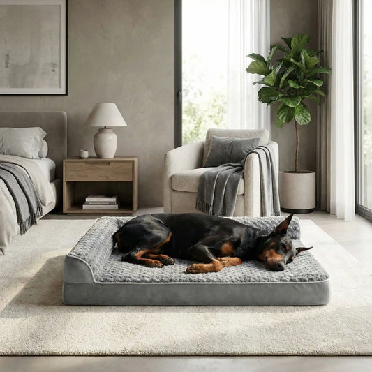 Lit-pour-chien-orthopédique-xl-antidérapant-imperméable-déhoussable-lavable en machine-résistant aux griffes et morsures légères pour grand chien et chiot jusqu'à 40 kg max-en velours côtelé et 100% Coton PP et deux traversin cylindriques rembourré en forme de L de couleur gris-un grand chien qui dort paisiblement sur son lit orthopédique, la tête reposant dans le coin du L des deux traversins dans la chambre de son maître de la maison