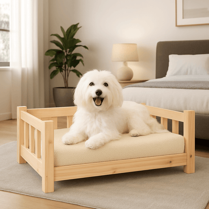 Lit-pour-chien-surélevé-canapé-en bois massif de pin naturel-non traité-écoresponsable-écologique-lavable-sur-pied-robuste-sommier en latte-hypoallergénique-respirant-aérer-ventilé-rafraichissant en été-isole des sols froids-pour petit chien jusqu'à 10 kilos-un chien de petite taille assis et heureux sur son lit en bois en forme de canapé avec accoudoir en bois dans la chambre de la maison