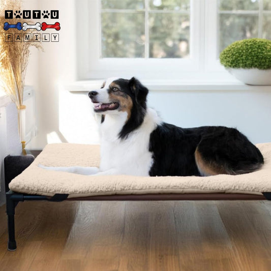 Lit-pour-chien-surélevé-nylon-résistant-respirant-un-chien-de-taille-moyenne-confortablement-couché-sur-son-lit-de-camp-léger-pliable-transportable-et-démontable-pour-intérieur-et-extérieur