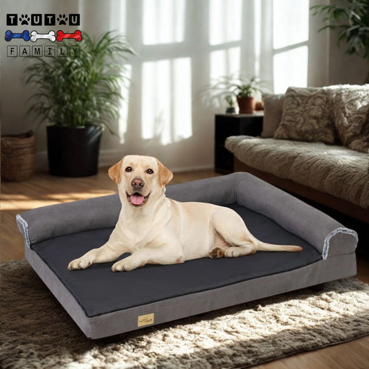 Lit-pour-chien-xxl-orthopedique-lit-4-saisons-un-grand-chien-couché-sur-son-lit-xxl-déhoussable-lavable-en-machine-dans-son-salon-matelas-orthopédique-pour-grand-chien-et-géant-avec-traversin-en-L-incoporé
