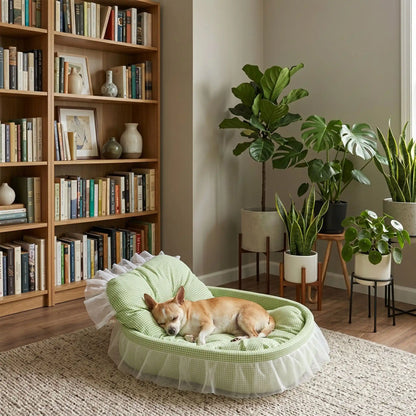 Lit-pour-chihuahua-4-saisons-avec son coussin interieur amovible épais et moelleux en mousse coton haute densité ergonomique, tissu respirant et lit lavable en machine avec design mignon en dentelle, entourant avec son rebord surélevé et sa décoration en dentelle, lit de princesse, couffin mignon-un chihuahua qui dort paisiblement sur le flanc dans son petit lit ovale anti stress de couleur vert dans un salon de l'appartement