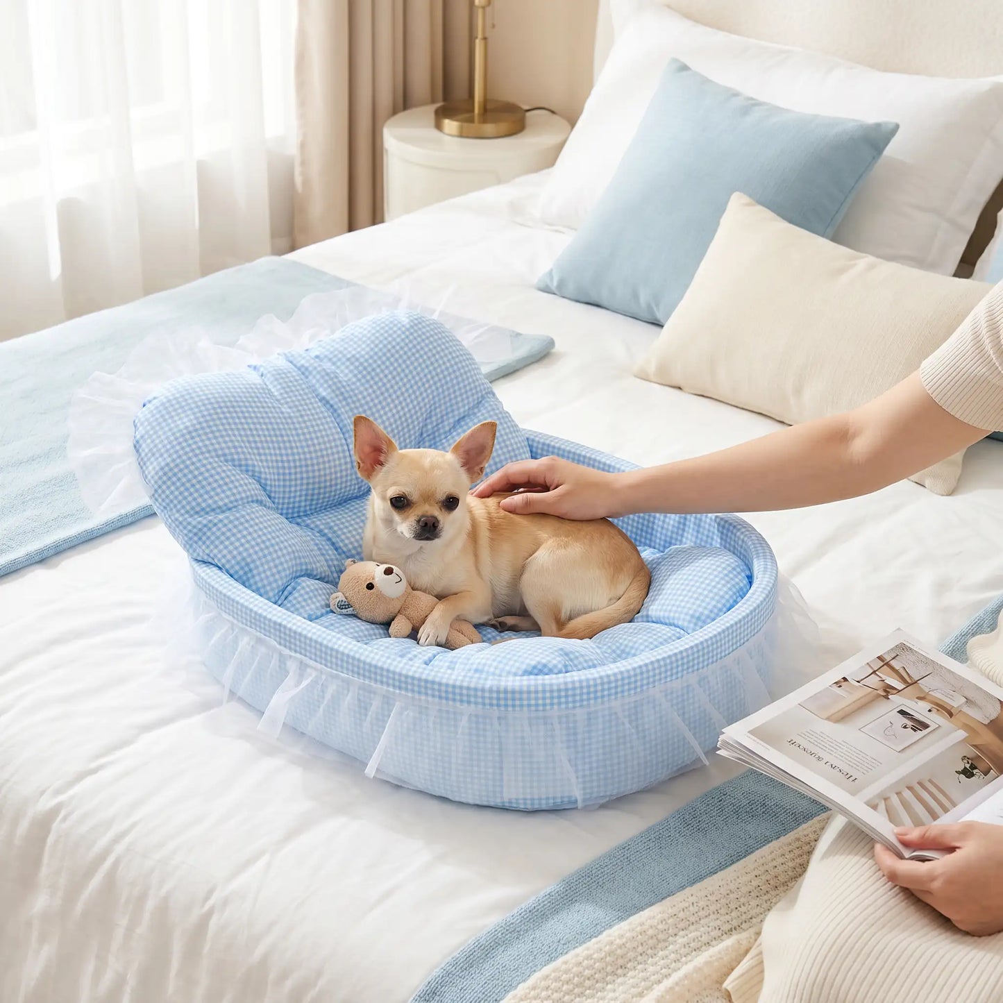 Lit-pour-chihuahua-4-saisons-avec son coussin interieur amovible épais et moelleux en mousse coton haute densité ergonomique, tissu respirant et lit lavable en machine avec design mignon en dentelle, entourant avec son rebord surélevé et sa décoration en dentelle, lit de princesse, couffin mignon-un chihuahua couché confortablement dans son petit lit ovale anti stress de couleur bleu sur le lit de sa maitresse qui le caresse tendrement en regardant son magazine dans la chambre de l'appartement