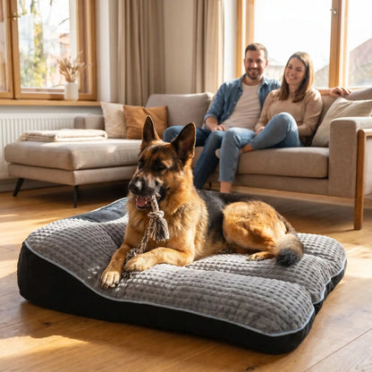 Lits-pour-chiens et chiots et solide, résistant aux griffes et morsures, tissu imperméable et velours doux , rembourrage 100% coton haute densité technologie anti-affaissement, antidérapant, matelas épais et ergonomique avec oreiller en couleur gris foncé, disponible en 4 tailles S,M,L et XL pour chiot et chien de 0 à 45 kg-un Chien de grande race qui mord son jouet en corde couché confortablement sur le grand lit xl hypoallergénique de couleur gris à côté de ses maitres dans le salon de l'appartement