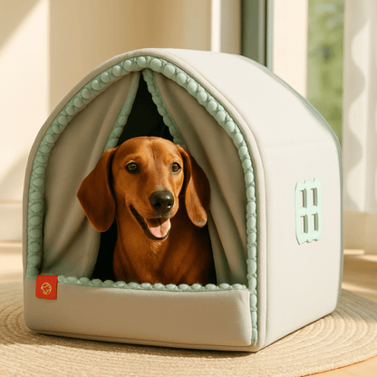 Maison-chien-interieur-chiot-niche-pliable et transportable antidérapante en velours et coton résistante avec sa structure en acier inoxydable avec attache solides et rapides avec double rideaux attachable et fermeture pour une version ouverte ou fermée-design et coutures soignées-un chien de race Toy couché et heureux dans sa mini maison chaude version fermée grise dans la chambre de l'hôtel 