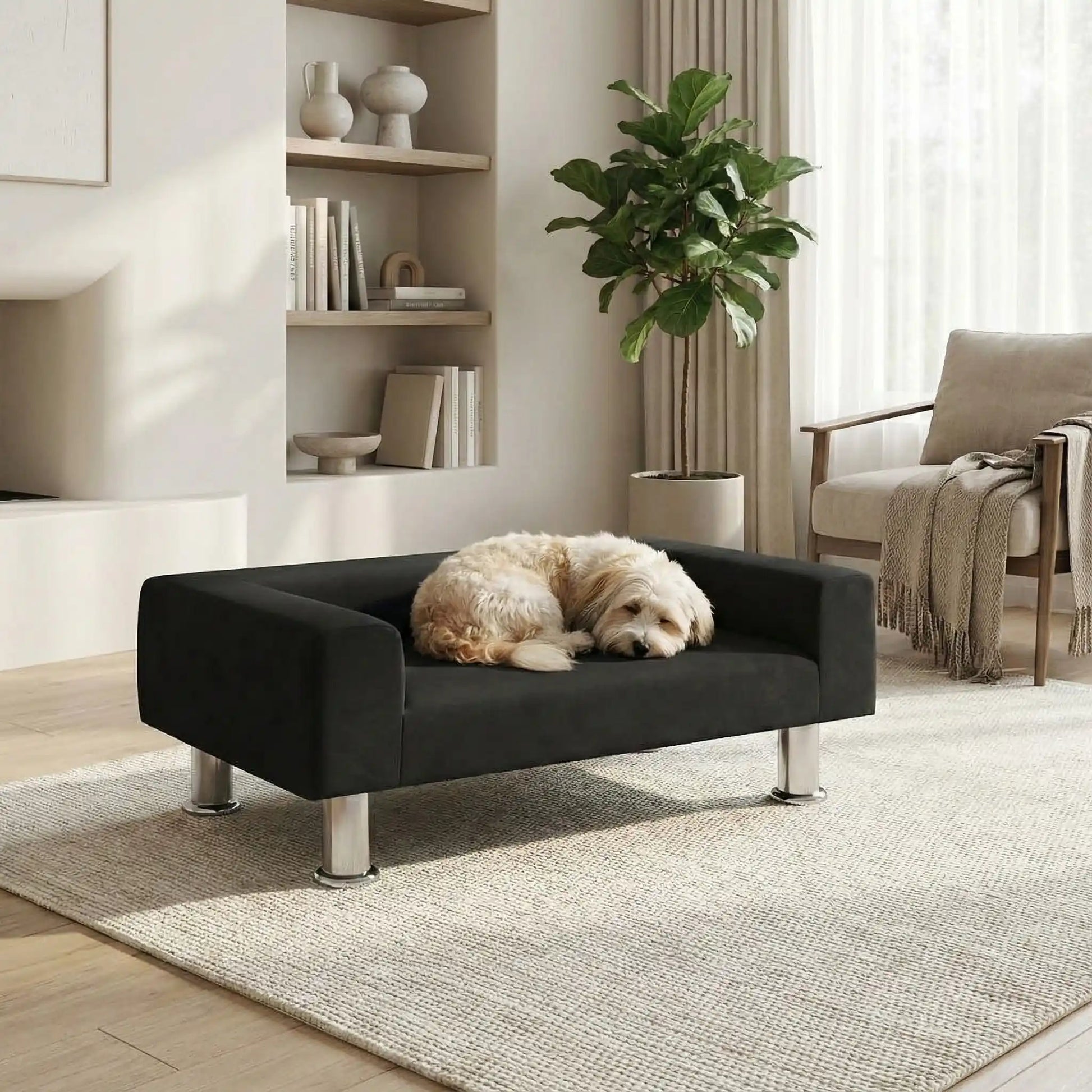 Mini-canapé-pour-chien-chiot-design-velours noir, surélevé avec 4 pieds en acier inoxydable cylindriques, rembourrage 100% coton haute densité épais pour les accoudoirs et le dossier-assise avec matelas en mousse de forme rectangulaire moderne, résistant aux griffes, structure en bois massif naturel-un chien de petite taille qui dort paisiblement en boule sur le canapé design noir dans le salon de la maison