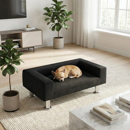 Mini-canapé-pour-chien-chiot-design-velours noir, surélevé avec 4 pieds en acier inoxydable cylindriques, rembourrage 100% coton haute densité épais pour les accoudoirs et le dossier-assise avec matelas en mousse de forme rectangulaire moderne, résistant aux griffes, structure en bois massif naturel-un chihuahua qui dort paisiblement en boule sur le canapé design noir dans le salon de l'appartement