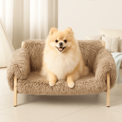 Mini-canapé-pour-chien-petit-chiot-un petit chien couché sur le canapé en peluche douce et lavable en machine en structure en bois naturel dans un salon lumineux 