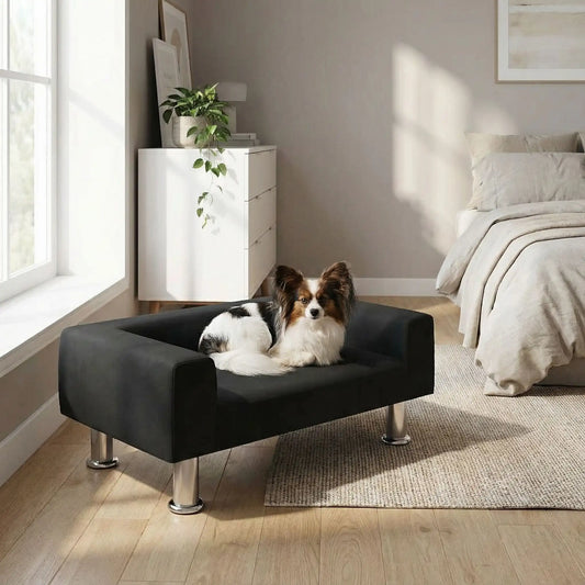 Mini-canapé-pour-chien-chiot-design-velours noir, surélevé avec 4 pieds en acier inoxydable cylindriques, rembourrage 100% coton haute densité épais pour les accoudoirs et le dossier-assise avec matelas en mousse de forme rectangulaire moderne, résistant aux griffes, structure en bois massif naturel-un chien de race miniature à longs poils  couché confortablement sur le canapé design noir dans la chambre moderne de l'appartement