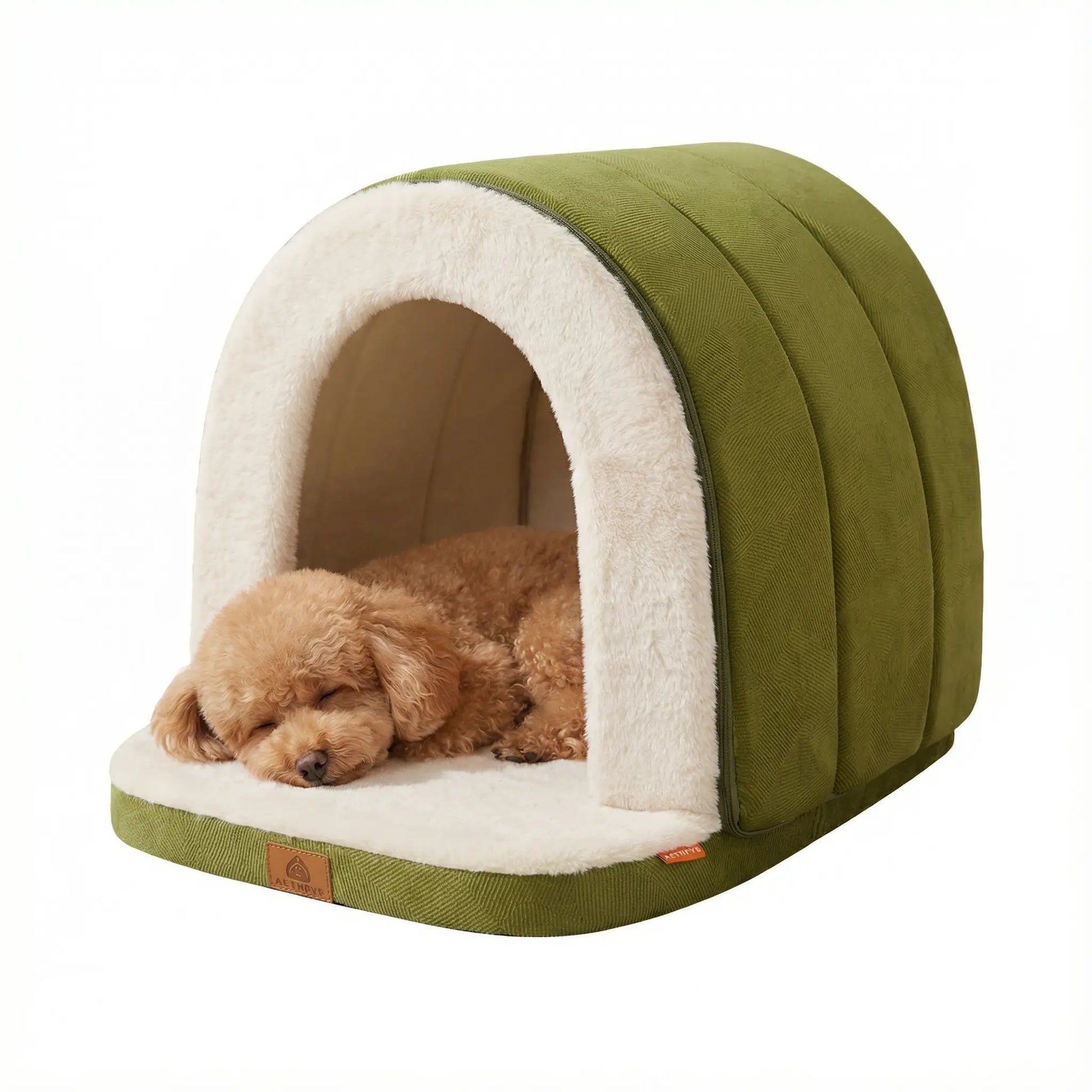 Niche-chien-intérieur-2-en-1 ou panier ouvert-matelas à mémoire de forme 100% coton PP, imperméable et antidérapant, résistant aux griffes, déhoussable et lavable en machine-lit chaud idéal pour les chiens de petite taille de 0 à 9 kilos, chaud avec intérieur en peluche-un caniche nain couché qui dort dans sa niche verte comme une petite maison en forme d'igloo durable et design-taille S, M et L