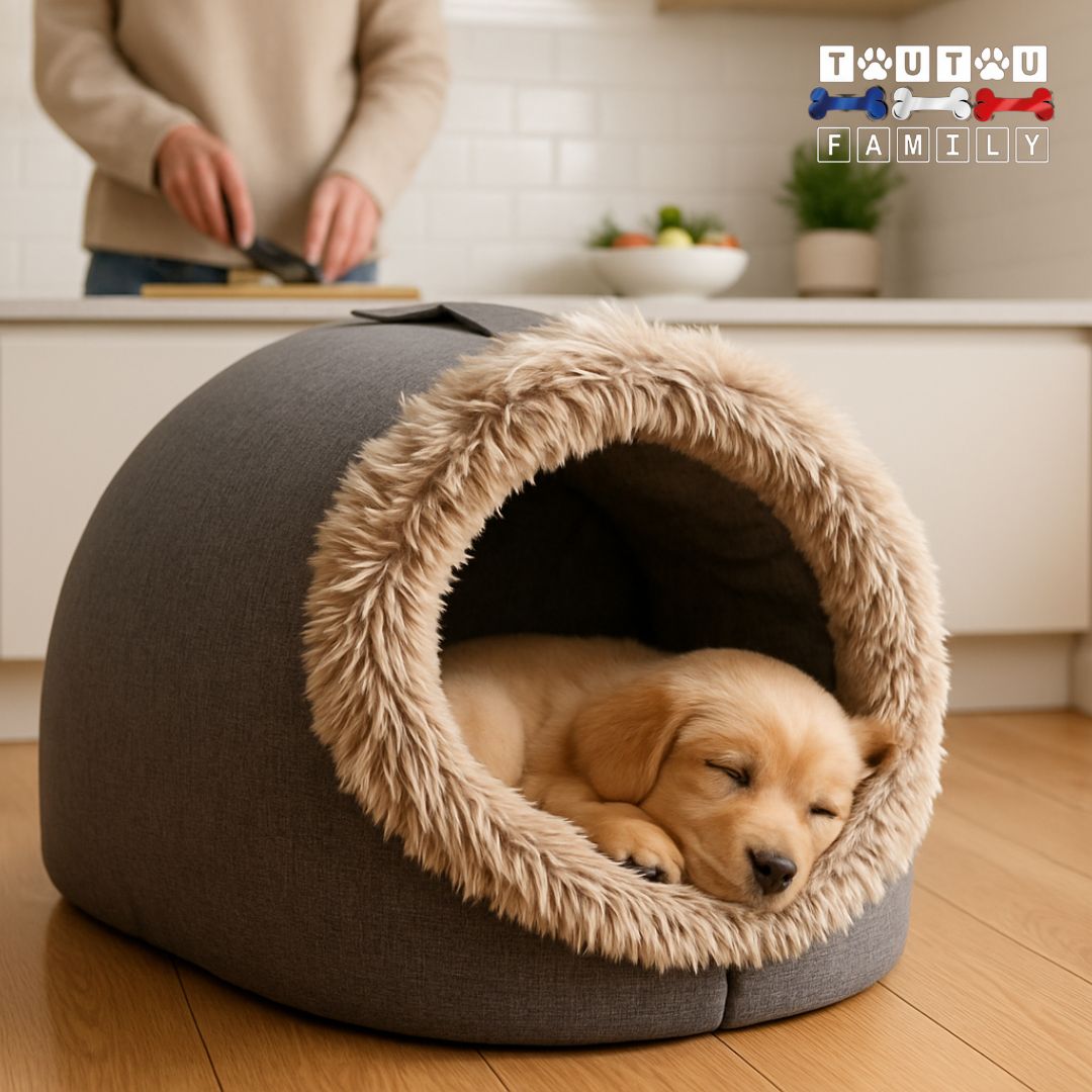 Niche-d-interieur-pour-chien-douillette-un chiot couché en boule qui dort paisiblement dans sa niche semi-fermée chaude en coton lin et fourrure résistant et lavable en machine dans la cuisine avec sa maitresse qui prépare son repas à côté de lui