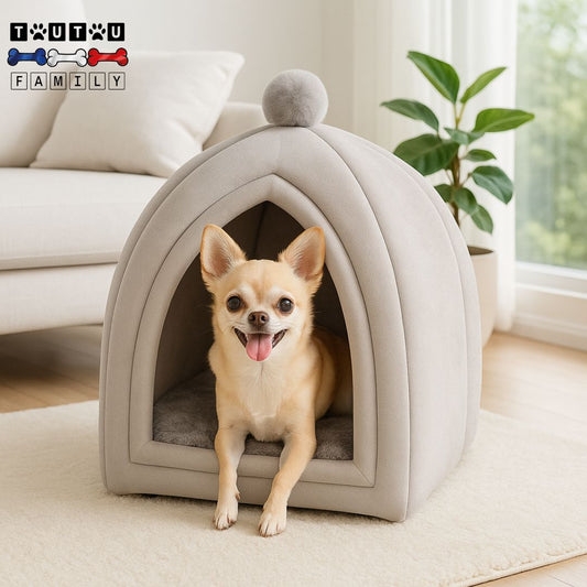 Niche-d-intérieur-pour-chien-nain-un chihuahua dans sa niche lavable et résistante de couleur grise au design yourte pour petit chien jusqu'à 3 kg