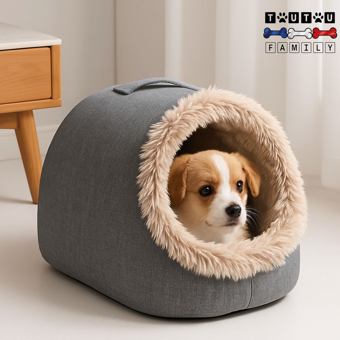 Niche-d-interieur-pour-chien-petite-taille-race-naine-un chiot Jack russell couché dans sa niche portable résistante et chaude en peluche coton et lin-lavable en machine