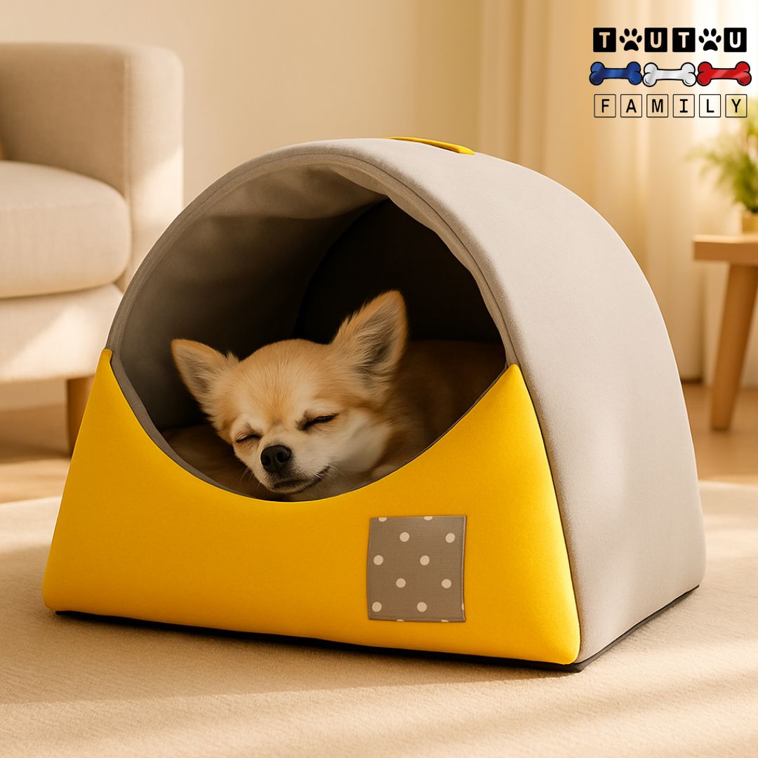 Niche-interieur-chien-confortable-un-pinscher-nain-qui-dort-paisiblement-au-chaud-dans-sa-niche-enveloppante avec toit sur son coussin chaud et 100% coton de couleur jaune et gris au design arrondi moderne et soignée