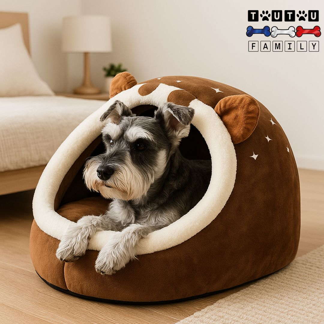 Niche-panier-pour-chien-coussin-un Schnauzer nain couché confortablement dans son panier chaud et douillet avec coussin 100% coton haute densité épais, déhoussable en velours doux pour petit chien et chiot, dans la chambre à coucher de son maitre