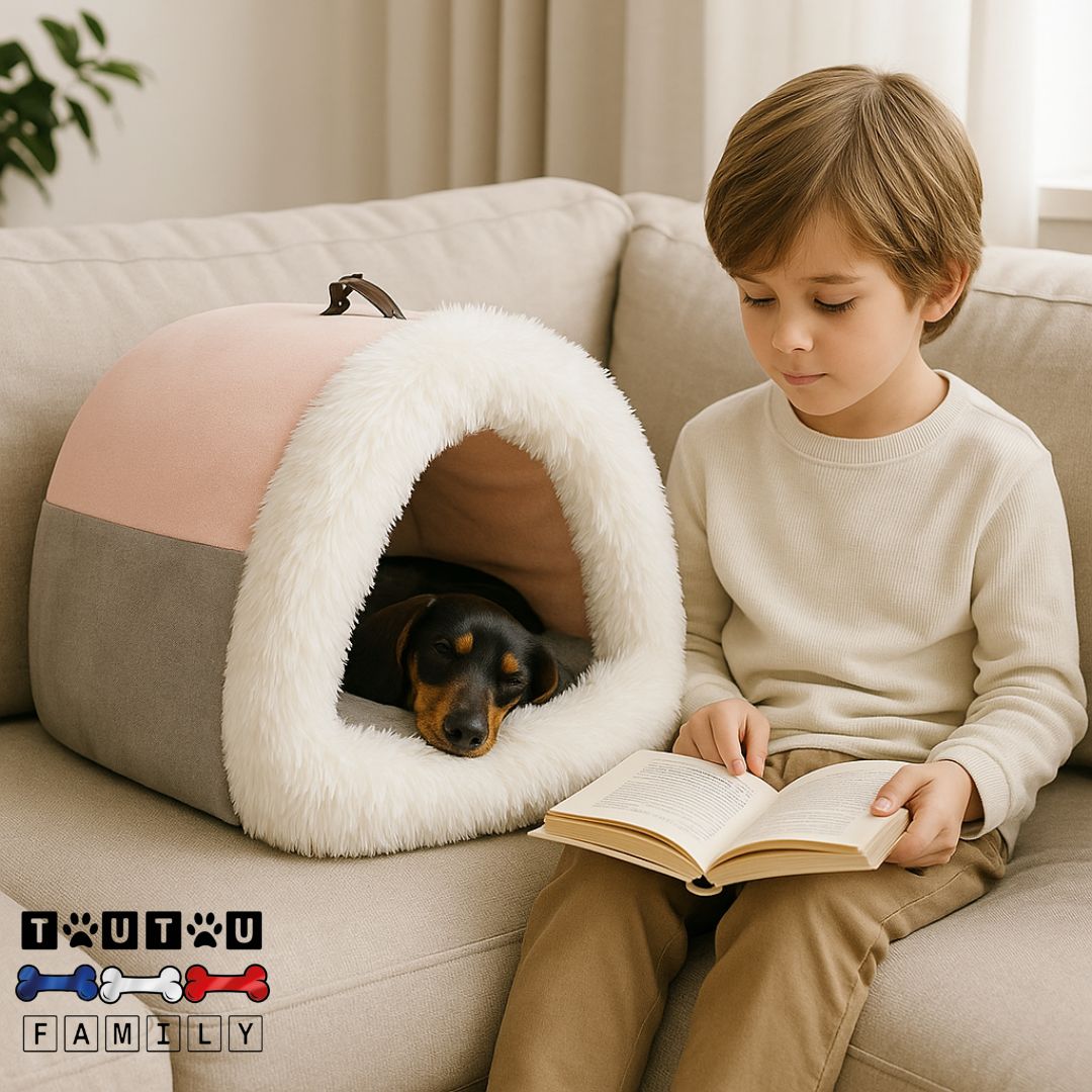 Niche-pour-chien-intérieur-portable-coussin-coton-un pinscher nain qui dort sereinement dans la niche chaude en forme de grotte avec poignée sur le canapé à côté d'un enfant assis sur le canapé qui lit tranquillement un livre