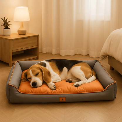 Panier-chien-imperméable-coton-oxford-coutures solides matelassé-rembourrage 100% Coton haute densité-moelleux-douillet-100% imperméable-antidérapant-résistant aux griffes-pour chien de petite à moyenne taille-un chien moyen qui dort paisiblement sur le panier avec rebord gris et orange dans la chambre dans la maison