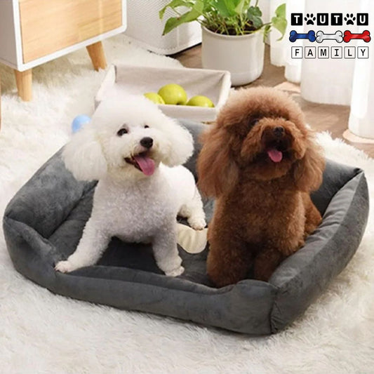 Panier-chien-lavable-rectangulaire-ergonomique, deux caniches assis dans leur panier de couleur gris, moelleux, confortable, chaud et douillet en peluche, lavable en machine à laver, antidérapant