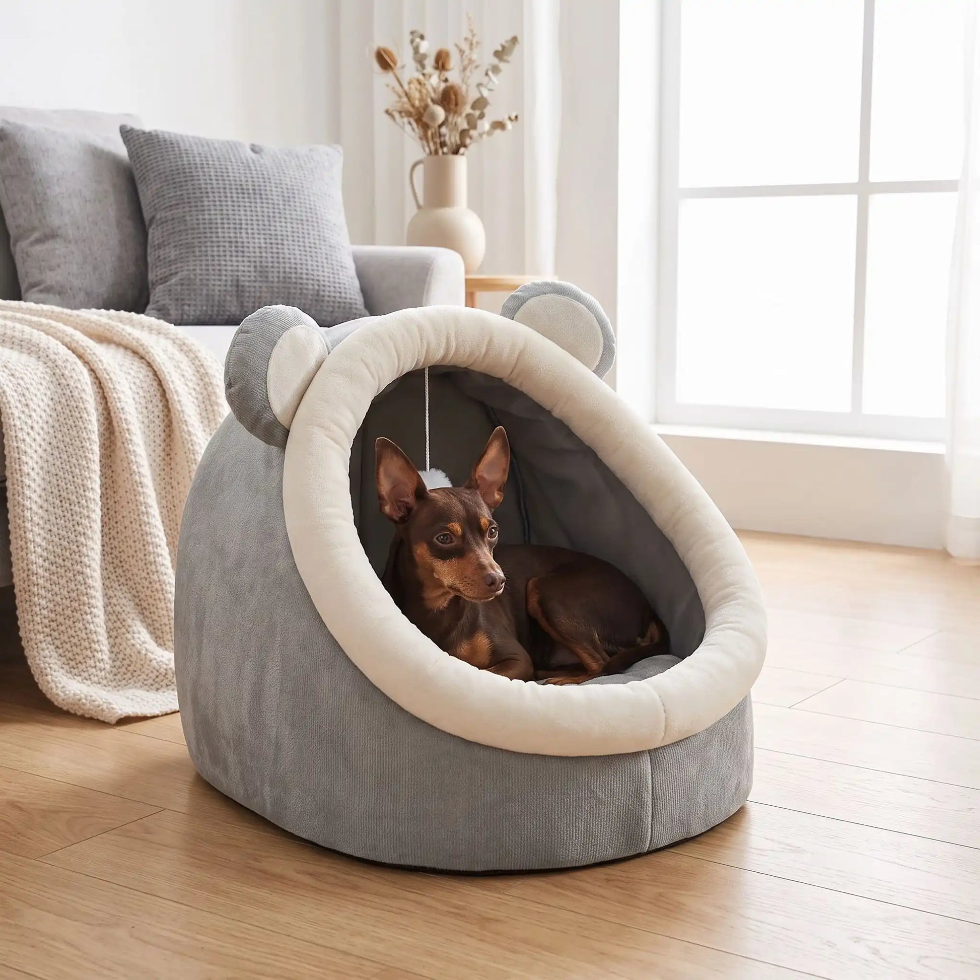 Panier-chien-chiot-niche-anti-stress, conception semie fermée avec toit et coussin amovible en velours rembourrage 100% coton PP, niche en peluche douce et design mignon avec oreilles d'ours, fond antidérapant et imperméable, lavable en machine pour chiot et chien de petite race de 0 à 3 kg-un chien de race naine couché confortablement dans son panier avec toit en dôme comme une cabane en peluche douce et oreilles d'ours de couleur gris et blanc dans le salon de l'appartement