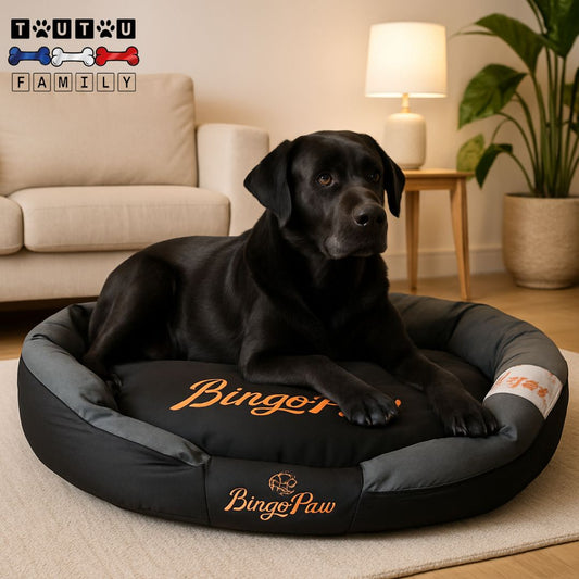 Panier-chien-xxl-déhoussable-un-labrador-noir-couché-sur-son-panier-pour-grand-chien-de-couleur-noir-et-gris-déhoussable-lavable-en machine-100% imperméable au design épuré dans le salon