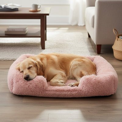 Panier-chien-xxl-déhoussable-orthopédique-coussin rectangulaire avec rebord surélevé en traversin qui sert d'oreiller ergonomique à 360° rembourrage 100% coton haute densité pour un effet anti stress et anti anxiété-housse en peluche ultra douce, hypoallergénique, imperméable, antidérapant et lavable en machine pour chiot et chien de taille moyenne à grande jusqu'à 45 kg max-un grand chien qui dort paisiblement dans son panier doux et apaisant, sa tête reposé sur le rebord dans le salon de l'appartement
