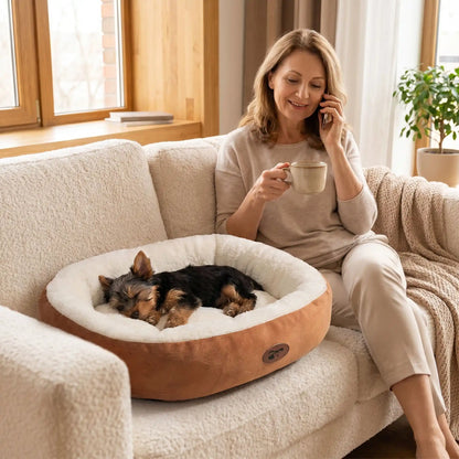 Panier-chiot-coussin-anti-stress avec rebord 360° surélevé rembourré et épais au rembourrage 100% coton haute densité lavable en machine, hypoallergénique, doux, chaud et respirant , fond antidérapant et imperméable pour chiot de petite, moyenne, grande et très grade race de 0 à 40 kilos en 5 tailles S , M, L, XL et XXL-un chiot yorkshire qui dort paisiblement dans son panier à rebord ovale de couleur marron et crème épais et rembourré sur le canapé du salon à côté de sa maitresse assise qui le regarde 