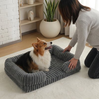 Panier-confort-chien-chiot-orthopédique-anti-stress confortable avec housse en velours doux et chaud imperméable et antidérapant résistant aux griffes et morsures vaec rebords surélevés au rembourrage 100% coton haute densité hypoallergénique en 3 tailles M, L et XL pour chien et chiot de 0 à 40 kilos-un chien de race moyenne heureux et couché confortablement dans le panier douillet et sécurisant avec matelas à mémoire de forme et velours doux de couleur gris pour dire enrevoir à sa maitresse sans stress