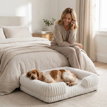 Panier-confort-chien-chiot-orthopédique-anti-stress confortable avec housse en velours doux et chaud imperméable et antidérapant résistant aux griffes et morsures vaec rebords surélevés au rembourrage 100% coton haute densité hypoallergénique en 3 tailles M, L et XL pour chien et chiot de 0 à 40 kilos-un coker anglais qui dort sa tête reposant sur le rebord du panier douillet avec matelas à mémoire de forme et velours doux de couleur crème au pied du lit de sa maitresse qui le regarde avec tendresse