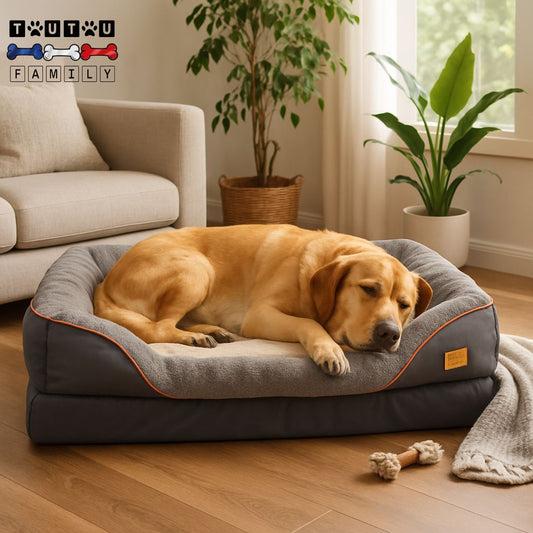 Panier-grand-chien-matelas-a-memoire-de-forme-un-labrador-couché-qui-dort-dans-son-panier-xl-déhoussable-lavable-en-machine-antidérapant-imperméable-confortable-soulage-les-articulations-panier-orthopédique-avec-rebord-rembourrés-100%-coton-haute-densité