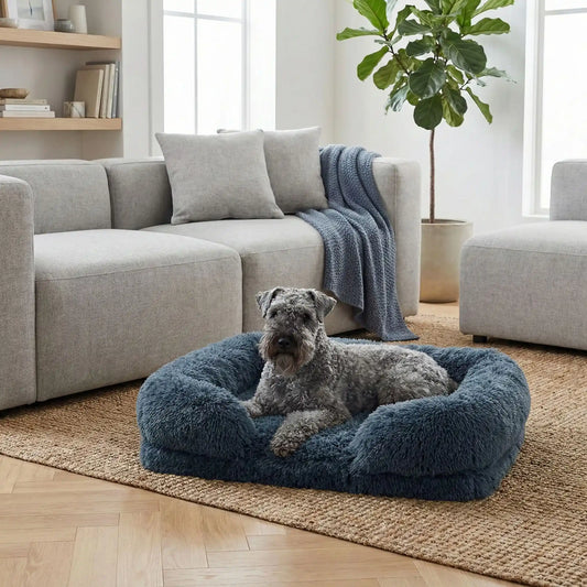 Panier-orthopédique-chien-déhoussable-coussin rectangulaire avec rebord surélevé en traversin qui sert d'oreiller ergonomique à 360° rembourrage 100% coton haute densité pour un effet anti stress et anti anxiété-housse en peluche ultra douce, hypoallergénique, imperméable, antidérapant et lavable en machine pour chiot et chien de taille petite à moyen jusqu'à 15 kg max-un chien de taille moyenne couché au chaud dans son panier avec rebord rembourré entourant et apaisant de couleur gris dans le salon