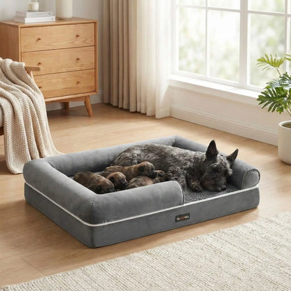 Panier-orthopédique-chien-avec-rebord-surelévé à 360° avec entrée abaissée pour une entrée et une sortie facile-résistant-déhoussable, imperméable et lavable en machine-housse en velours côtelé et traversins cyndriques sur les cotés 100% coton PP et matelas à mémoire de forme pour un soutien orthopédique optimal-convient pour les petits à moyen chien jusqu'à 25 kg max-un Terrier écossais qui dort paisiblement niché dans son panier anti stress enveloppant avec ses rebords surélevé dans la chambre de l'appart