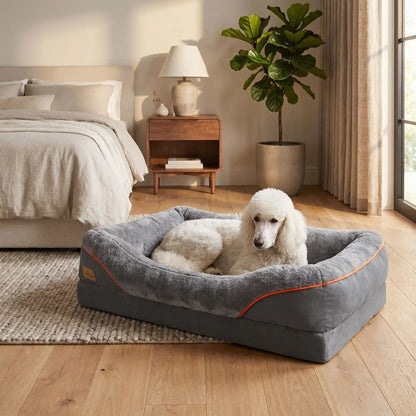 Panier-orthopédique-chien-chiot grande taille xxl, déhoussable et lavable, imperméable et antidérapant avec haut rebord rembourré avec matelas à mémoire de forme, housse en peluche douce et tissu réistant et imperméable, en 3 tailles L, XL et XXL pour chiot et chien de 0 à 70 kilos maximum-un caniche royal couché confortablement dans le panier épais, entourant à 360° sécurisant de couleur gris foncé dans le salon de la maison