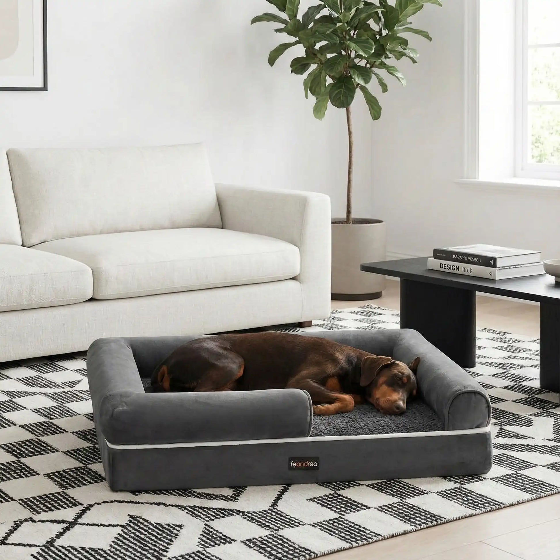 Panier-orthopédique-chien-avec-rebord-surelévé à 360° avec entrée abaissée pour une entrée et une sortie facile-résistant-déhoussable, imperméable et lavable en machine-housse en velours côtelé et traversins cyndriques sur les cotés 100% coton PP et matelas à mémoire de forme pour un soutien orthopédique optimal-convient pour les petits à moyen chien jusqu'à 25 kg max-un Pinscher allemand qui dort paisiblement niché dans son panier anti stress enveloppant avec ses rebords surélevé dans le salon de la maison