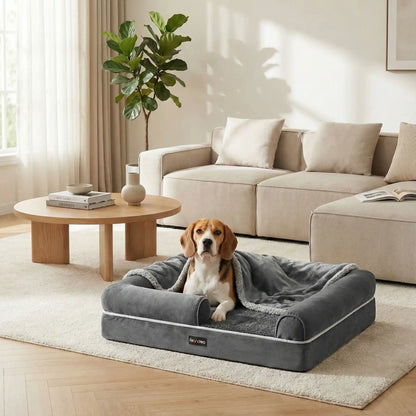 Panier-orthopédique-chien-avec-rebord-surelévé à 360° avec entrée abaissée pour une entrée et une sortie facile-résistant-déhoussable, imperméable et lavable en machine-housse en velours côtelé et traversins cyndriques sur les cotés 100% coton PP et matelas à mémoire de forme pour un soutien orthopédique optimal-convient pour les petits à moyen chien jusqu'à 25 kg max-un Beagle couché conofrtablement dans son panier avec une polaire sur lui dans le salon de la maison