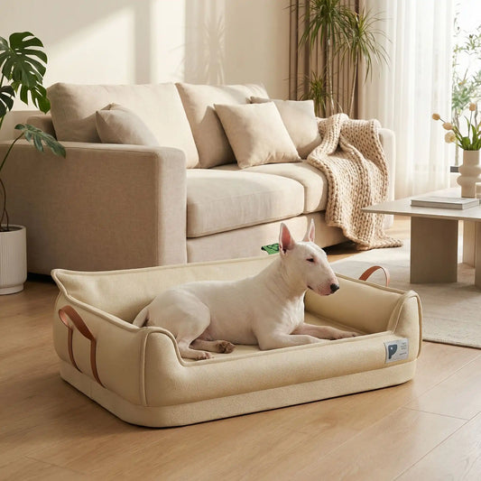 Panier-orthopedique-chien-simili-cuir-imperméable, déhoussable, antidérapant et lavable avec deux poignée de transport, ne retient pas les poils, avec dossier et rebord surélevé, résistant aux griffes en cuir végan et matelas haute résilience à mémoire de forme en coton PP, design moderne et soigné avec coutures solides pour chiot et chien de petite à moyenne taille-un Bull terrier couché confortablement dans son  panier design et moderne de couleur beige dans le salon de la maison