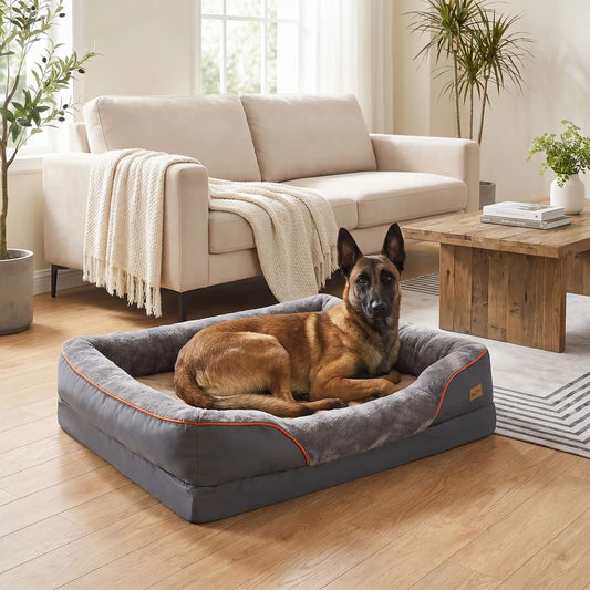Panier-orthopédique-chien-chiot grande taille xxl, déhoussable et lavable, imperméable et antidérapant avec haut rebord rembourré avec matelas à mémoire de forme, housse en peluche douce et tissu réistant et imperméable, en 3 tailles L, XL et XXL pour chiot et chien de 0 à 70 kilos maximum-un chien de grande race qui dort paisiblement dans le panier xxl épais, entourant à 360° sécurisant de couleur gris foncé dans le salon de l'appartement 