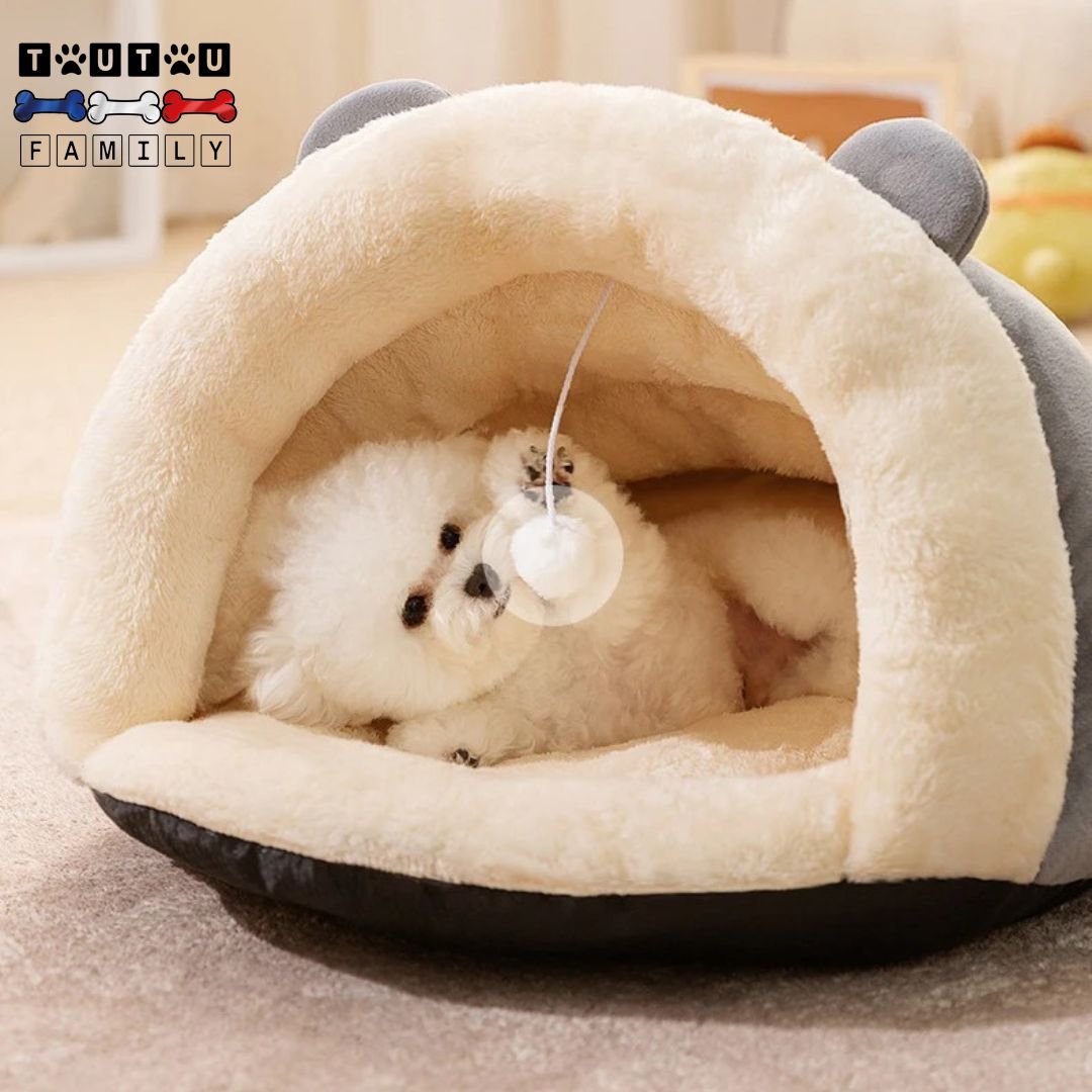 Panier-petit-chien-chaud-niche-un-chien-de-petite-race-couché-sur-le-flanc-qui-joue-avec-sa-balle-interactive-accroché-sur-sa-niche-lavable-et-antidérapant