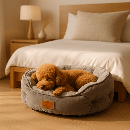 Panier petit chien - LavableToutou™