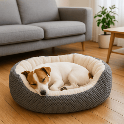 Panier-petit-chien-orthopédique-lit rond- doux comme un coussin anti-stress-coton-haute-densité-matelas à mémoire de forme haute densité-lavable en machine-résistant aux griffes-rebord surélevé entourant 360° ergonomique avec entrée abaissée pour entrée et sorties faciles pour chiot et chien de petite taille de 0 à 9 kg-un petit chien qui dort paisiblement en boule dans le lit chaud et rond avec extérieur en maille serrée esthétique et design de couleur gris dans le salon de l'appartement