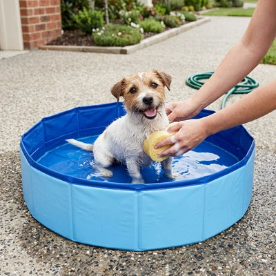 Pataugeoire-pour-chien-chiot-petit-50-cm-PVC robuste, parois rigides, fond antidérapant, pliable, compact et transportable, idéal pour les petit espace et les appartements pour rafraichir ou faire le bain des petits chiens-un chiot de petite race qui se fait rafraichit dans sa petite piscine par son maitre qui en profite pour le toiletter  dans le jardin de la maison en été