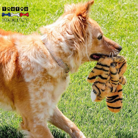 Peluche-indestructible-pour-chien-chiot idéal pour les poussée dentaire du chiot, nettoie les dant en jouant sans rembourrage et sans danger, douce et resistante pour les chiens destructeurs, apaise et rassure comme un doudou, un chien qui tient dans sa mâchoire puissante sa peluche tigre aux couleurs vives et au design réaliste qui imite une proie