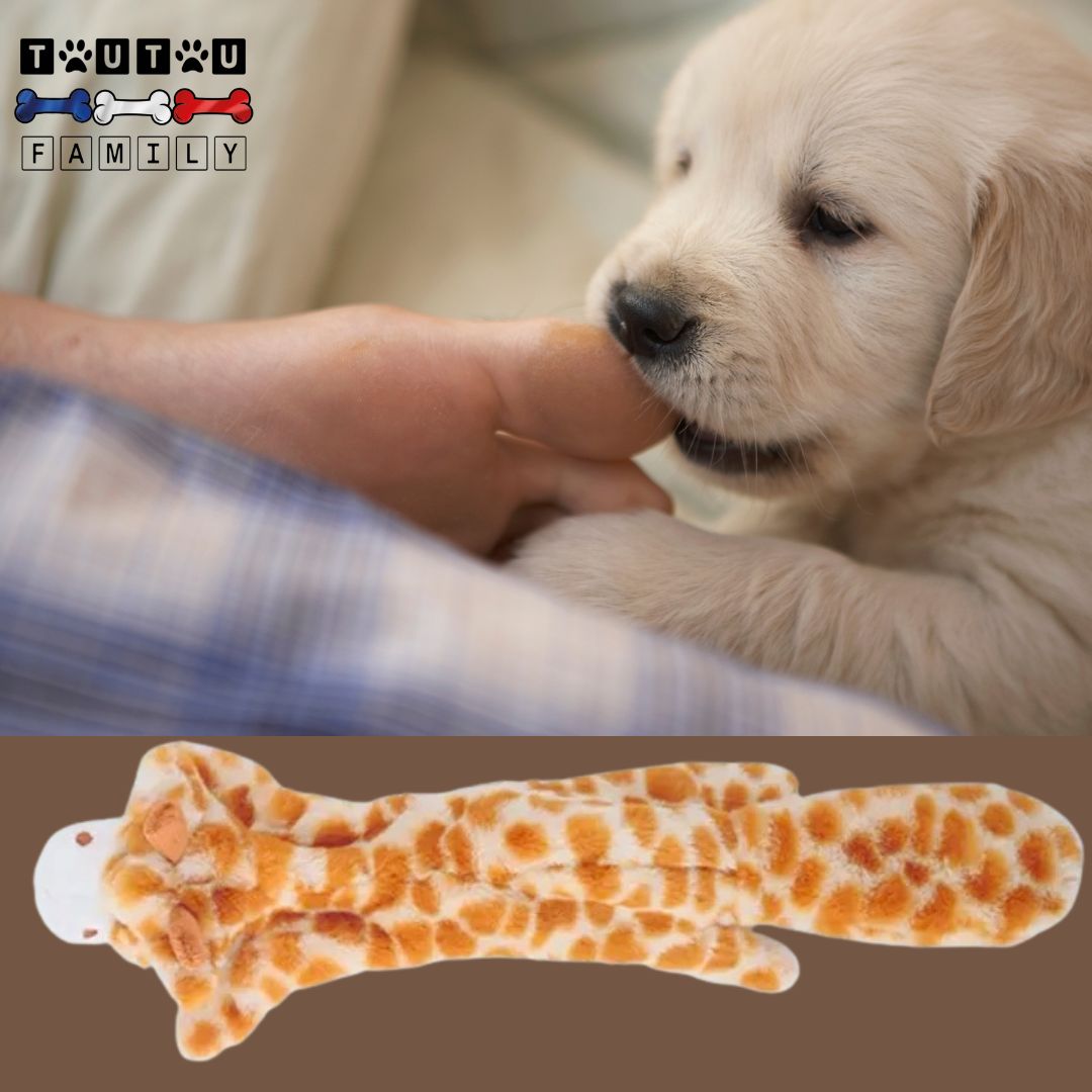 Peluche-indestructible-pour-chien-girafe doudou solide un chiot qui mordille