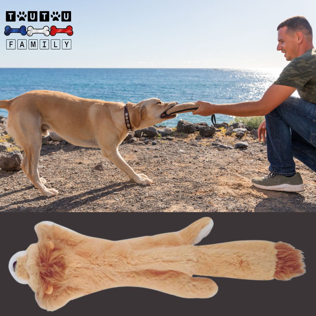 Peluche-indestructible-pour-chien-lion un maitre et son grand chien qui joue au tir à la corde avec la peluche lion pour un jeu interactif et éducatif sur la plage