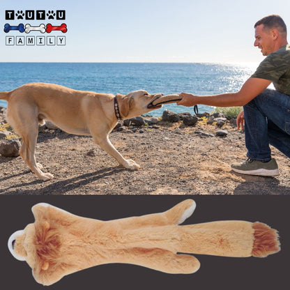 Peluche-indestructible-pour-chien-lion un maitre et son grand chien qui joue au tir à la corde avec la peluche lion pour un jeu interactif et éducatif sur la plage